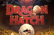 Dragon Hatch